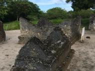 Руины Каоле, Багамойо (фото Н.Е. Хохольковой)