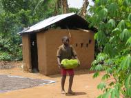 Мальчик несет свежесорванный джекфрут, деревня Накабаале